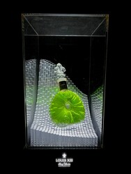 M 561 AV Remy Martibn Vitrine publicitaire