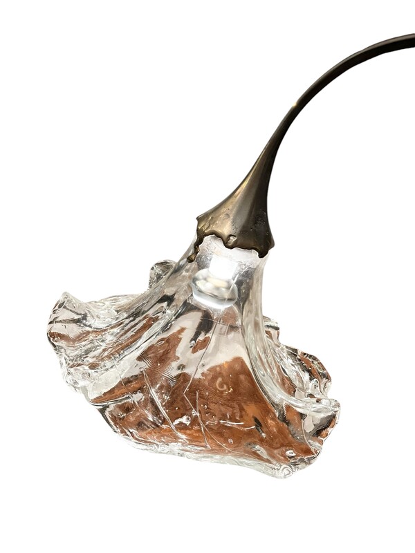 L 341 AG organic bronze and glass floor lamp by Lothar Klute