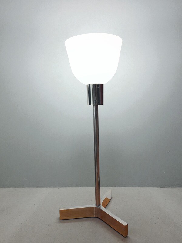L 546 PL lamp by Roger Fatus