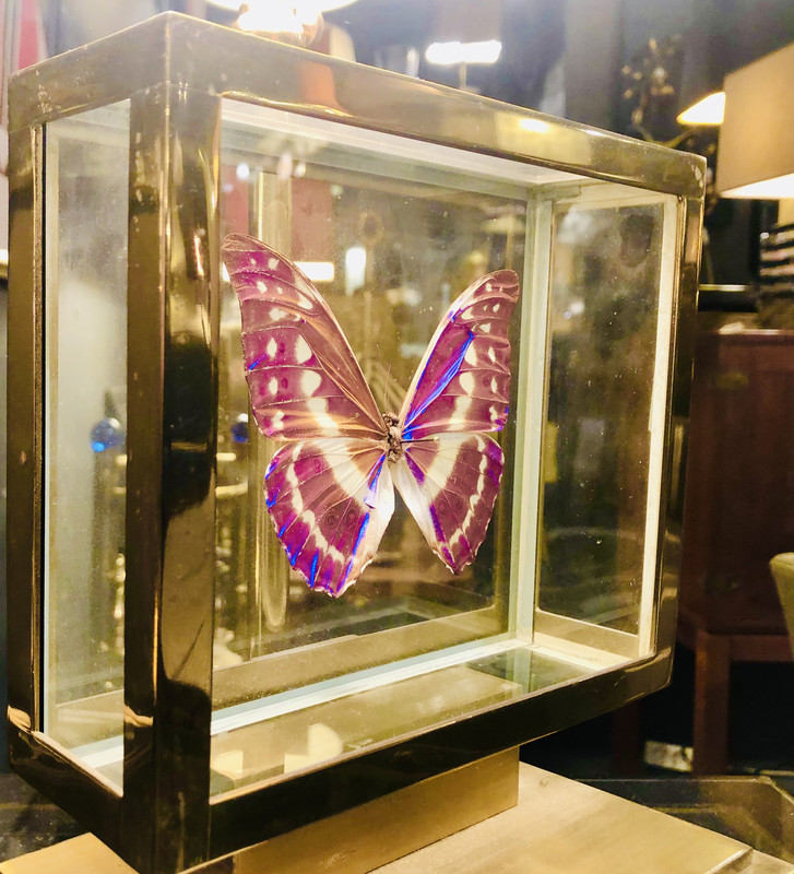 L 736 JC Butterfly Brass Lamp, 1980’s