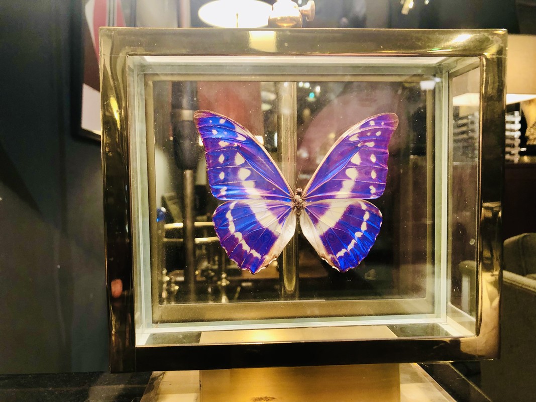 L 736 JC Butterfly Brass Lamp, 1980’s