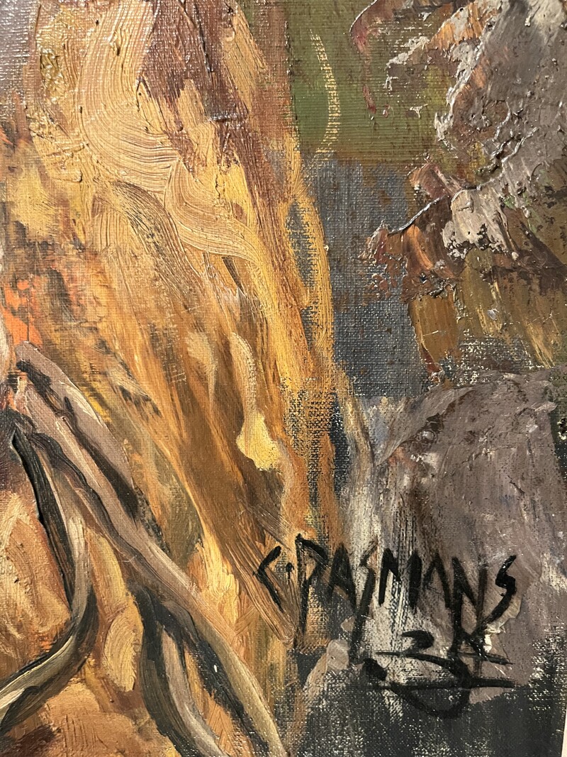 P 385 RD portrait painting by C. Pasmans