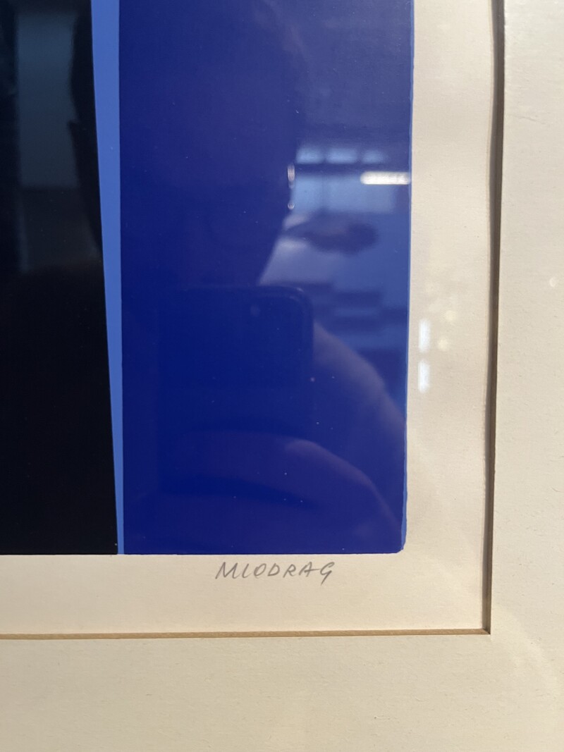 P 893 TH Dordevic Miodrag serigraphy on paper, signed and nummered in pencil, 36/100