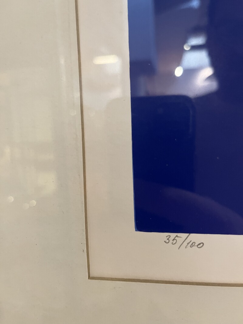 P 893 TH Dordevic Miodrag serigraphy on paper, signed and nummered in pencil, 36/100