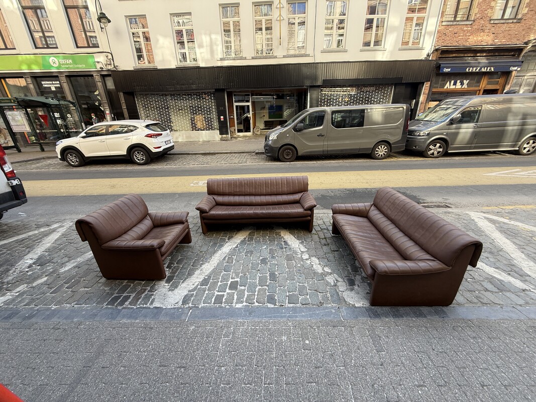 S 245 AG De Sede DS 86 brown leather 1 place 
