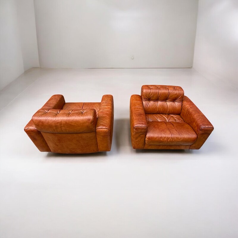 S 246 AG pair of cognac leather club by De Sede mod. DS 40