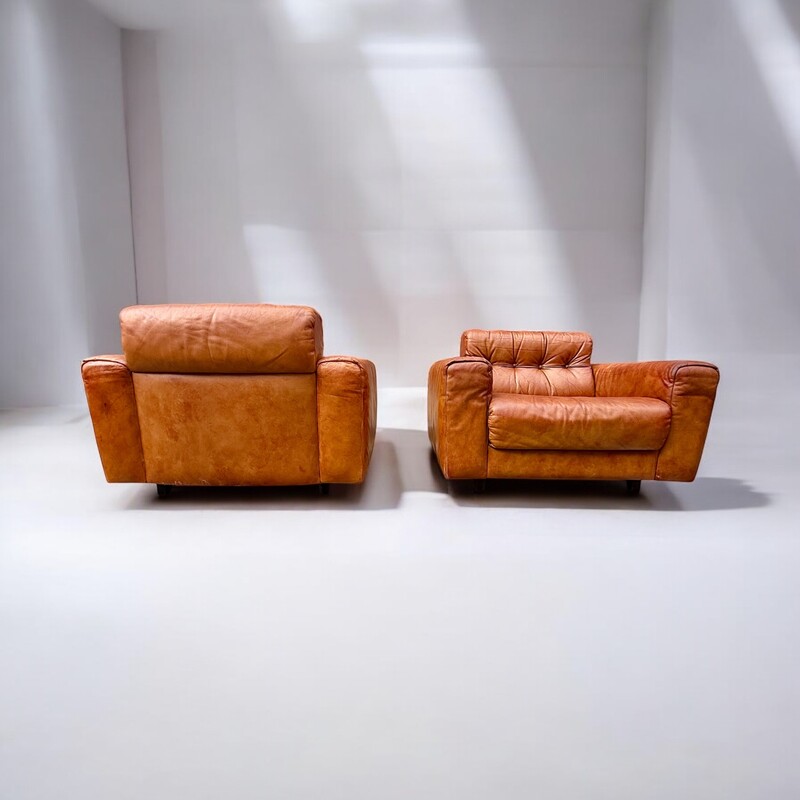 S 246 AG pair of cognac leather club by De Sede mod. DS 40