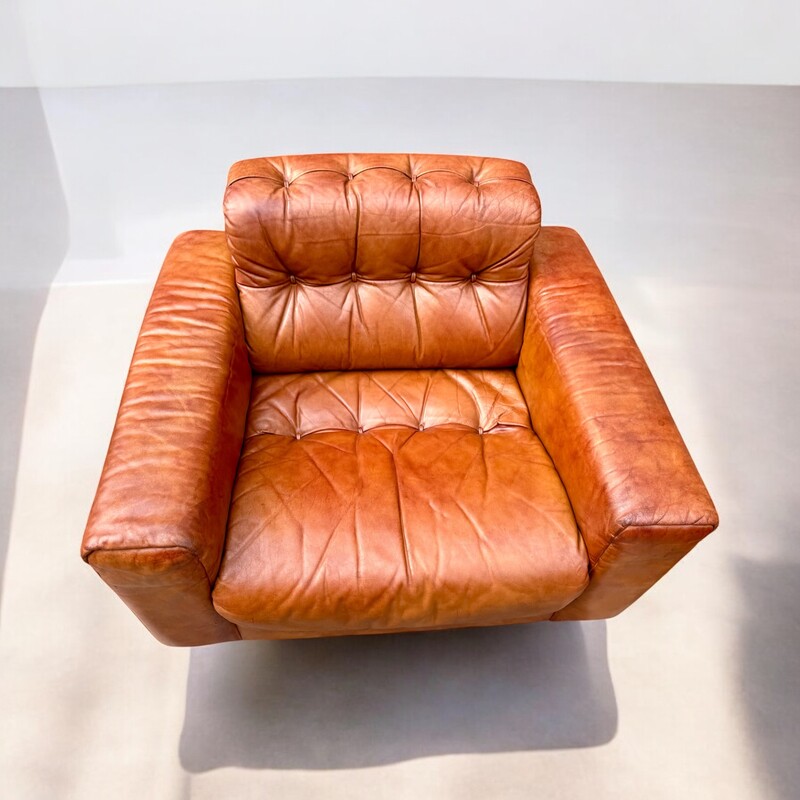 S 246 AG pair of cognac leather club by De Sede mod. DS 40